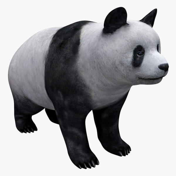 3d熊猫模型