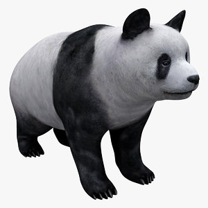 giant panda 3ds