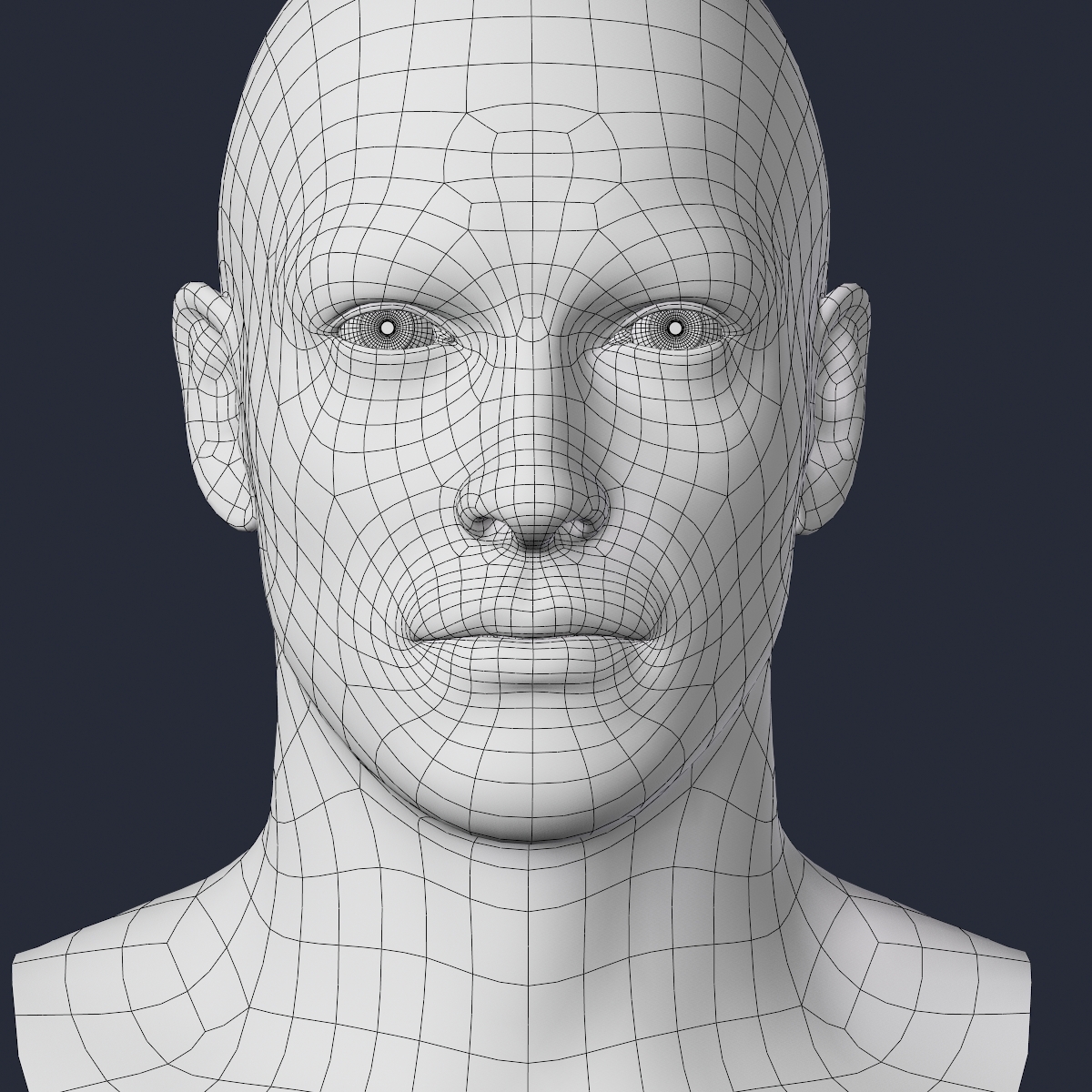 3d model male head