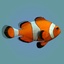 3d fish fish model