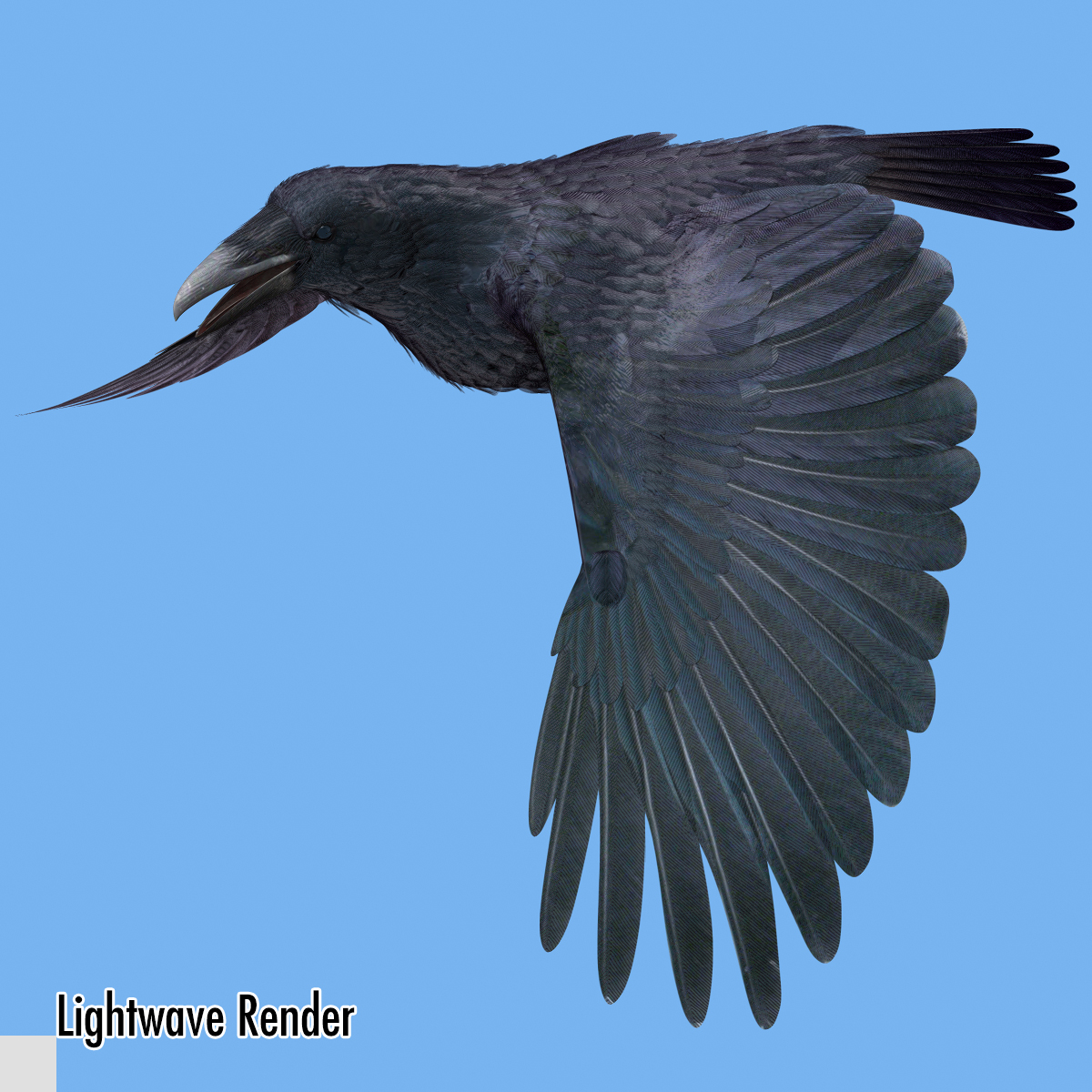3d common raven