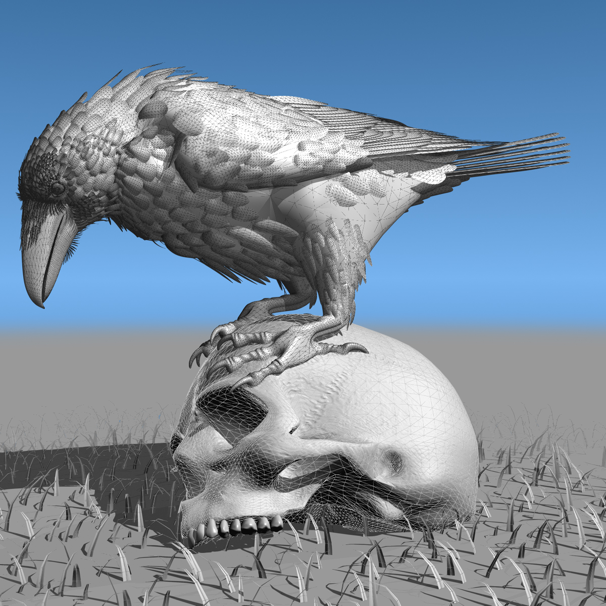 3d common raven