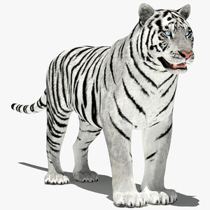 amur tiger white 3d 3ds