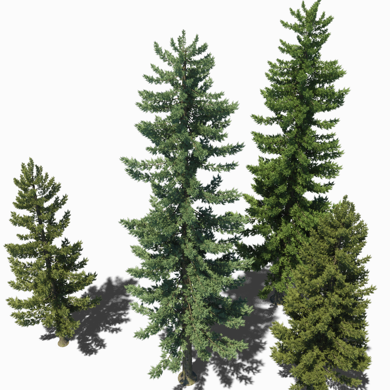 3d-pine-tree-model