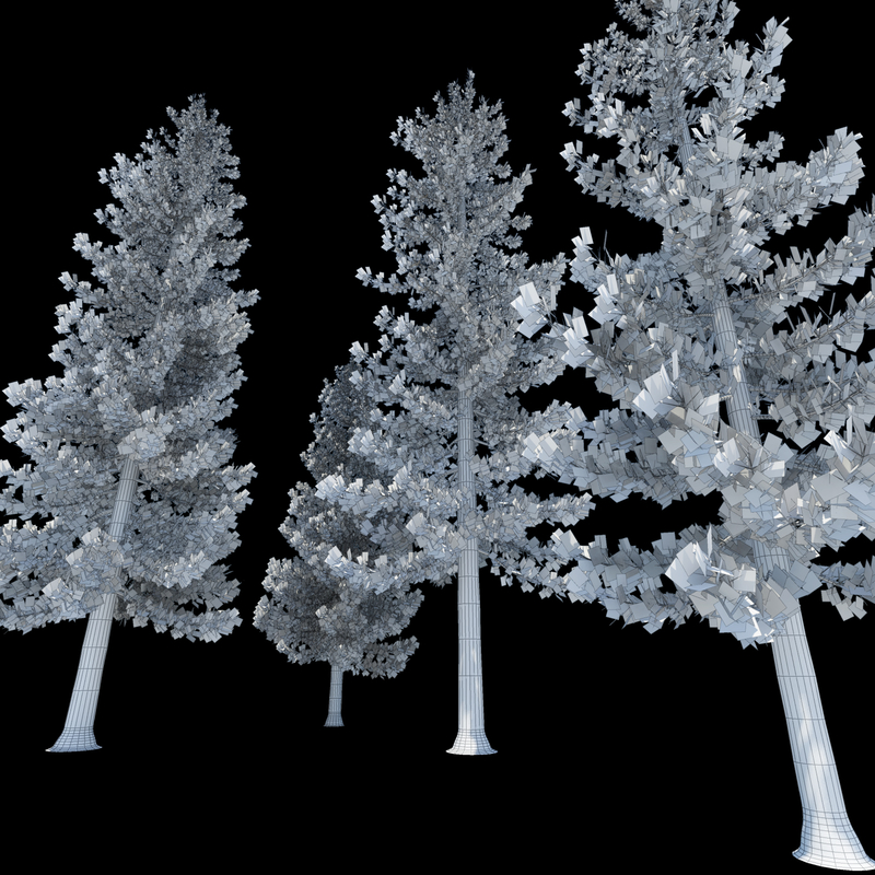 3d-pine-tree-model