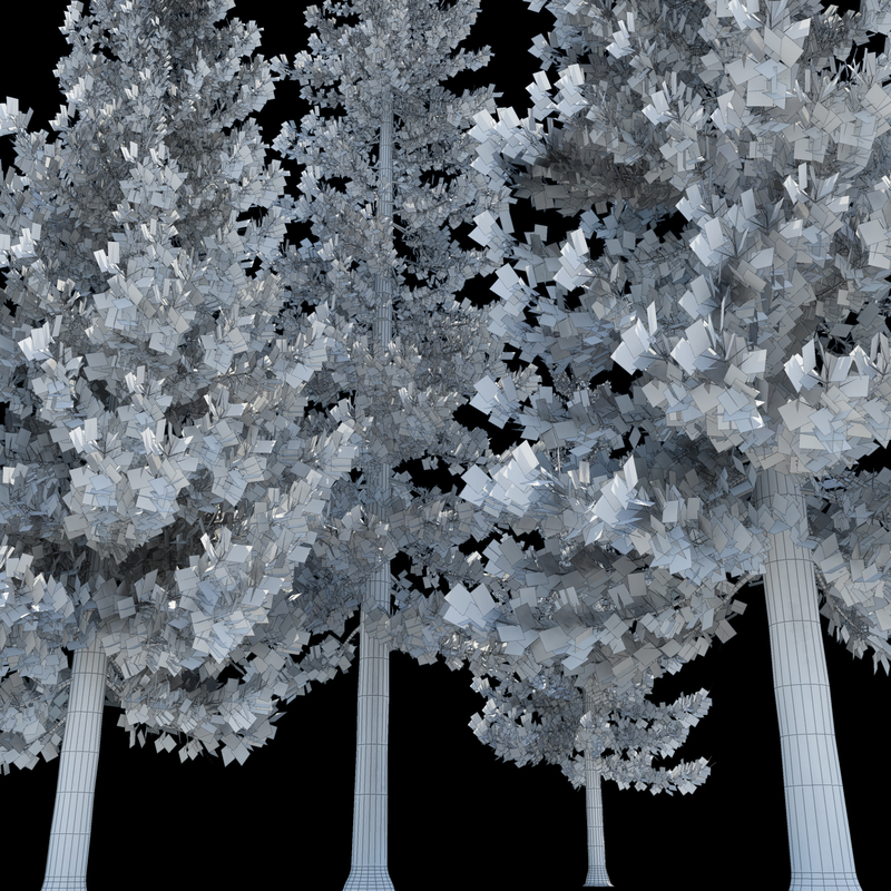 3d-pine-tree-model