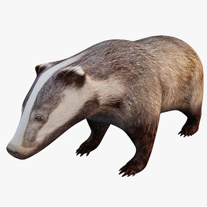 3ds european badger