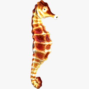 sea horse seahorse 3d obj
