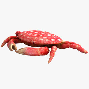 3dsmax strawberry crab