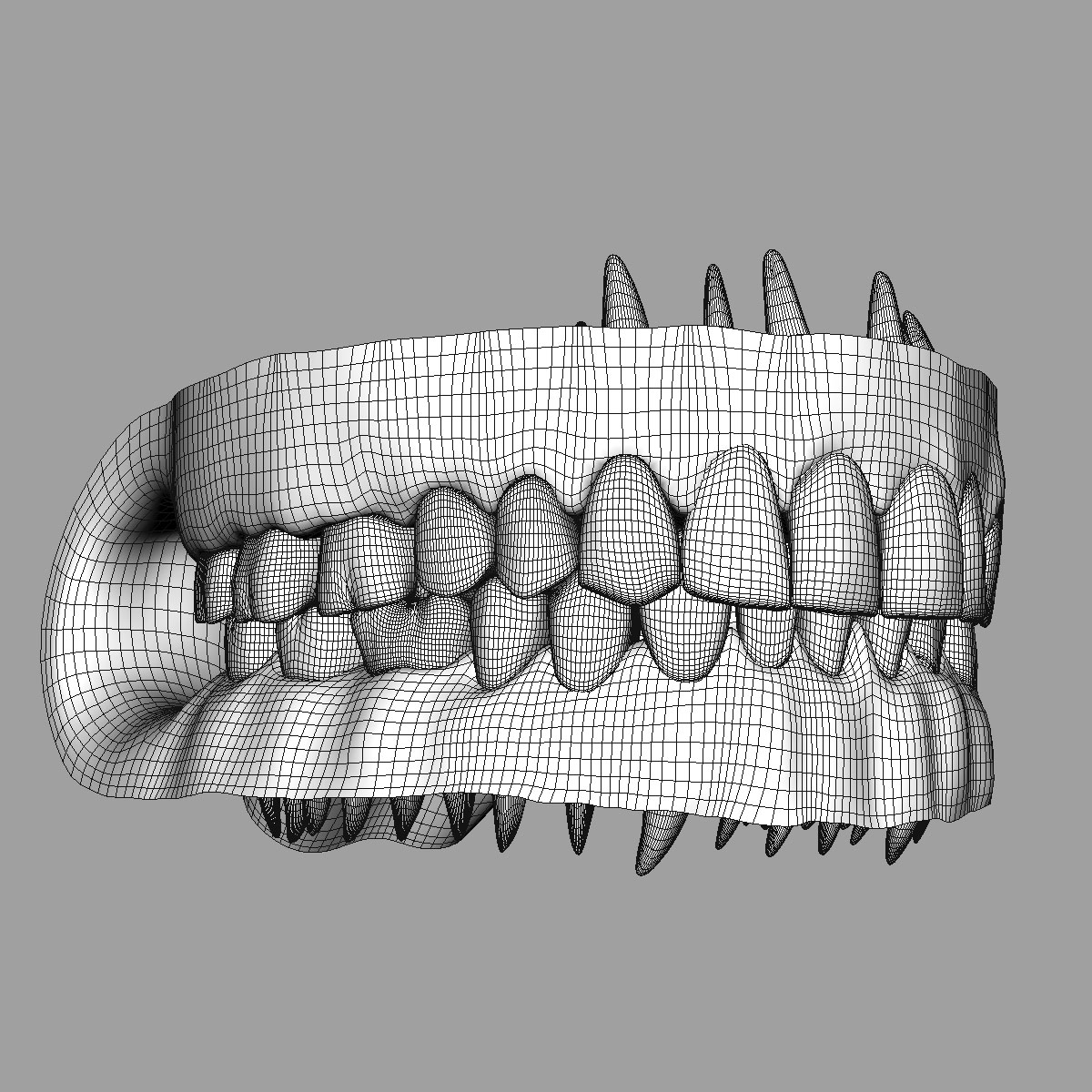 牙齿和牙龈3d模型