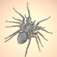 mexican redknee tarantula hair fur 3d obj