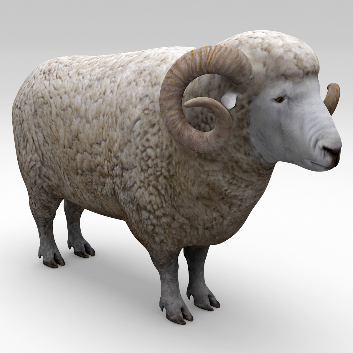 3 барана. Sheep Statue 3d модель. Барашек 3д модель. Баран 3d модель. Овца 3д.