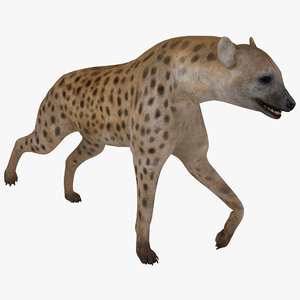3d hyena pose 1