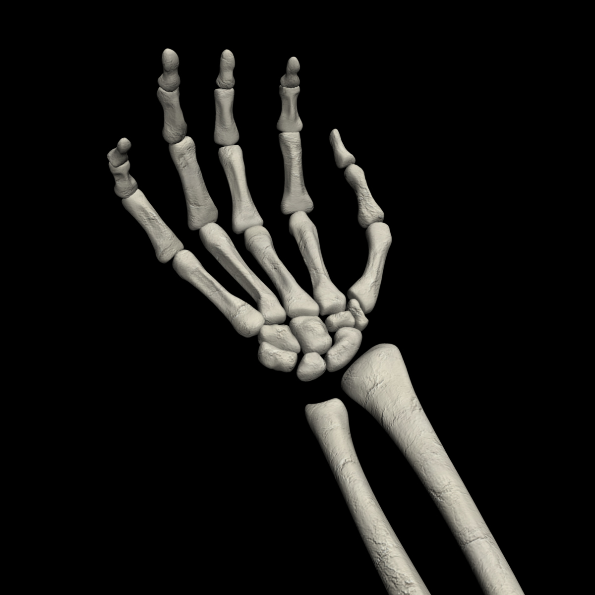 Рука скелет металл