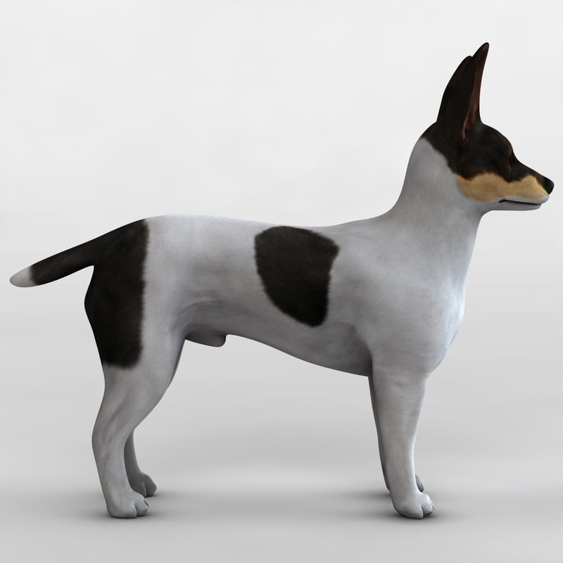 toy fox terrier stuffed animal