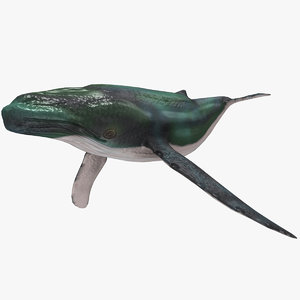 3d max whale animation