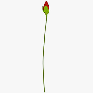 3d red poppy flower 2