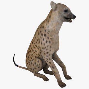 max hyena pose 3