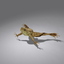 photorealistic green frog male rigged ma
