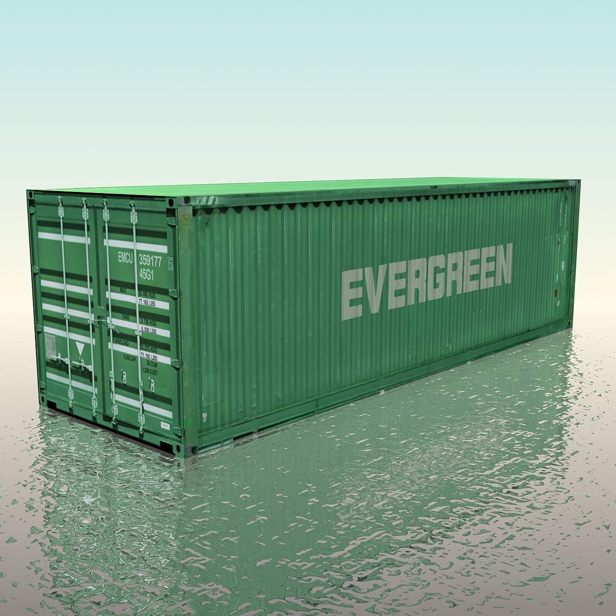 container evergreen
