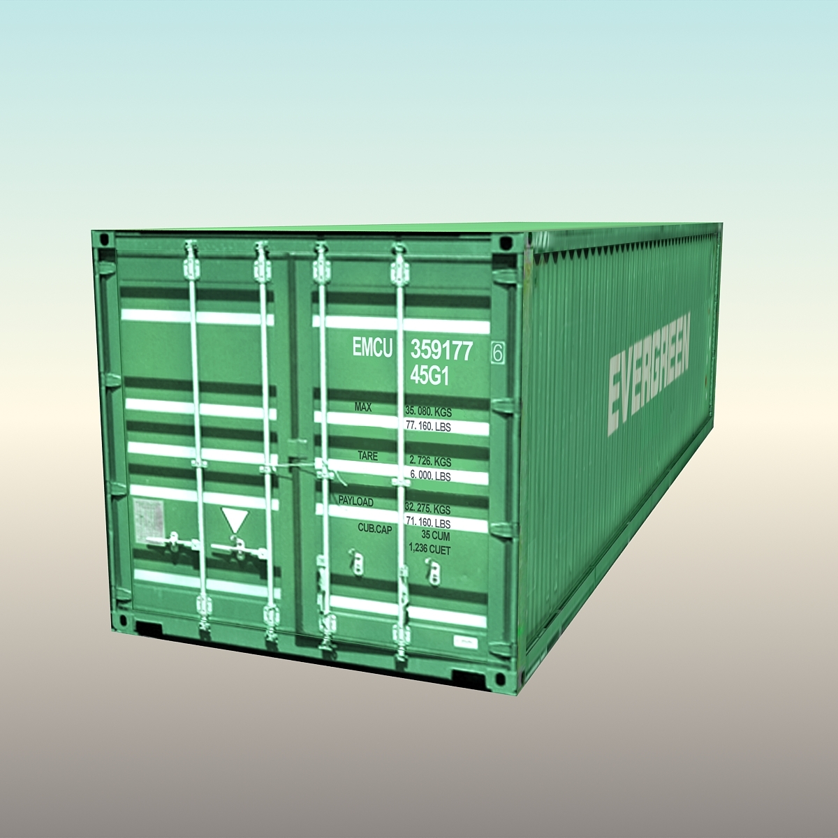 container evergreen