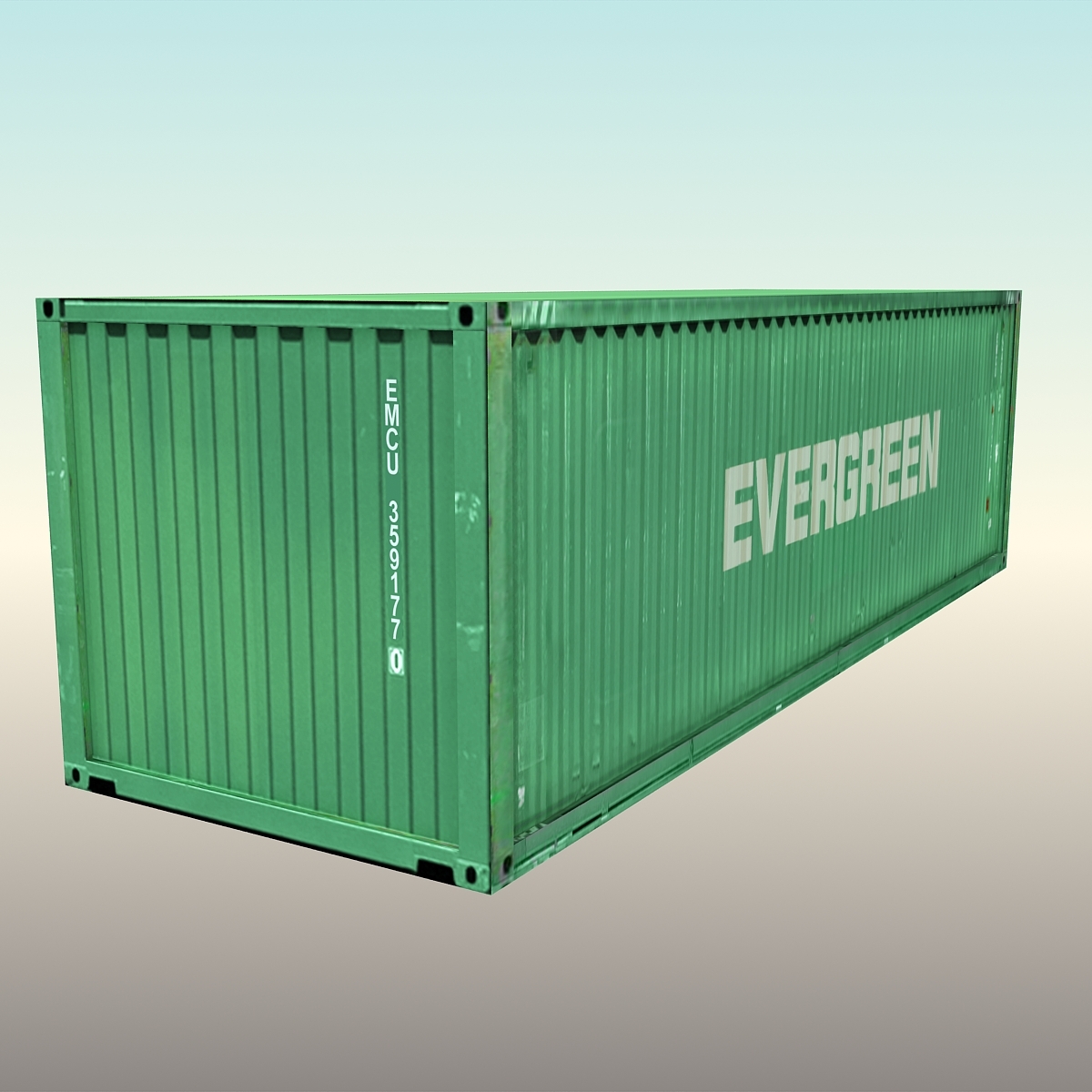 container evergreen