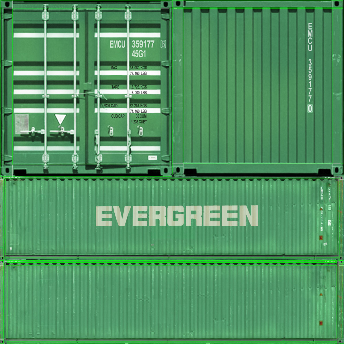 container evergreen