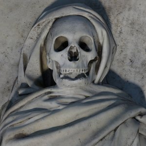 s max skeleton tomb