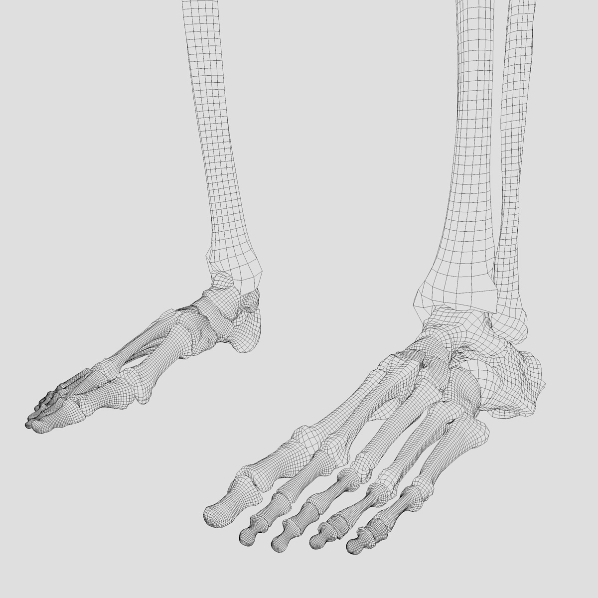 3d accurate human skeleton model