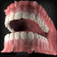 3ds max human mouth