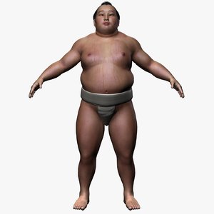 3d realistic sumo model