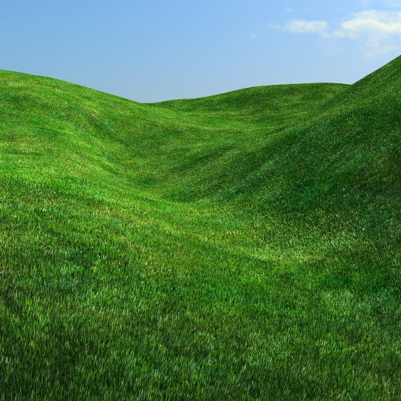 hills environment 3d max