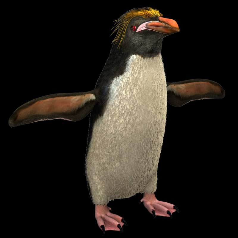 macaroni penguin stuffed animal