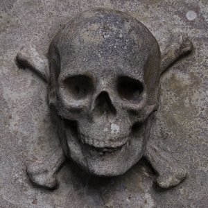 skull relief