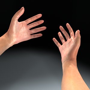 person arms games 3d model
