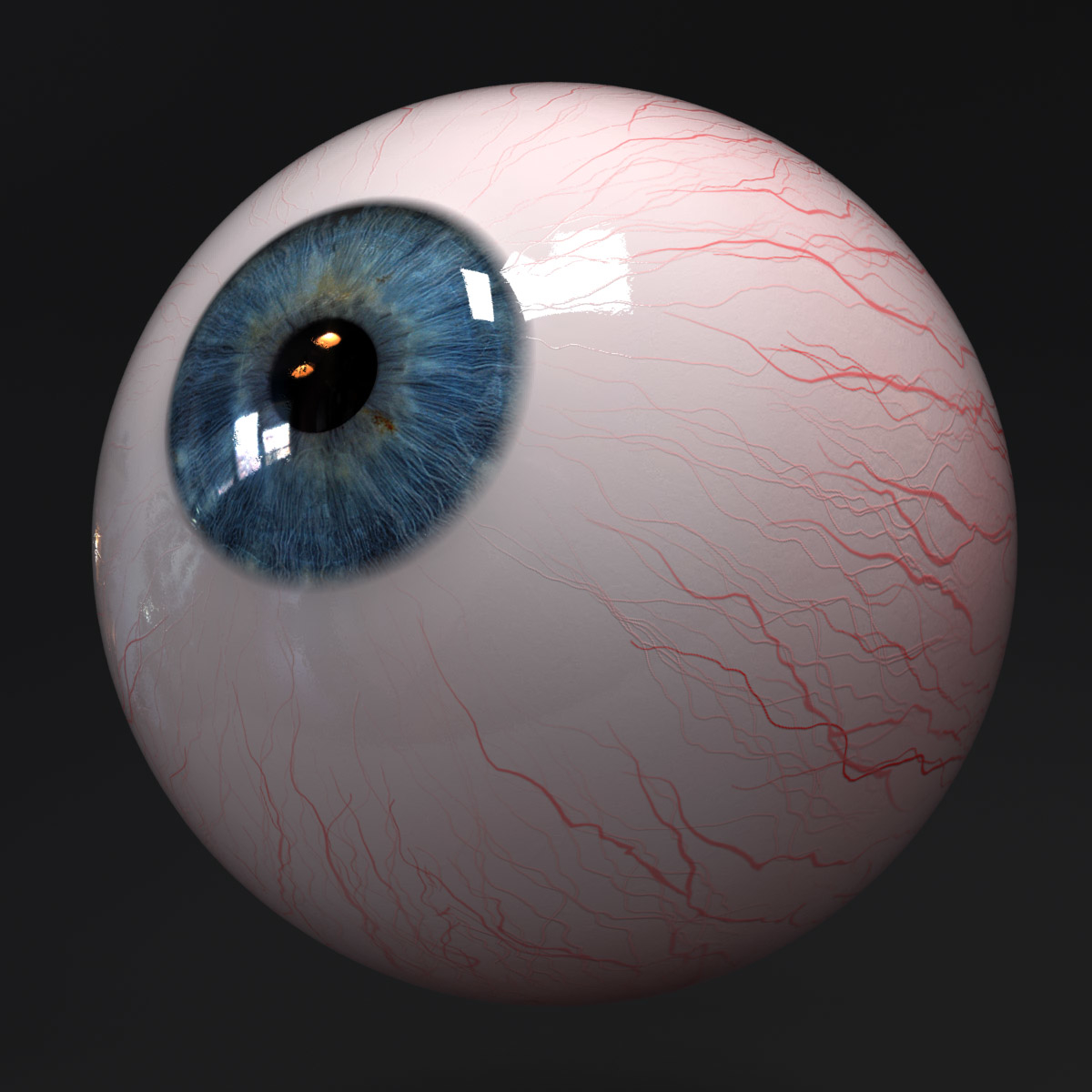 realistic huan eye 3d obj