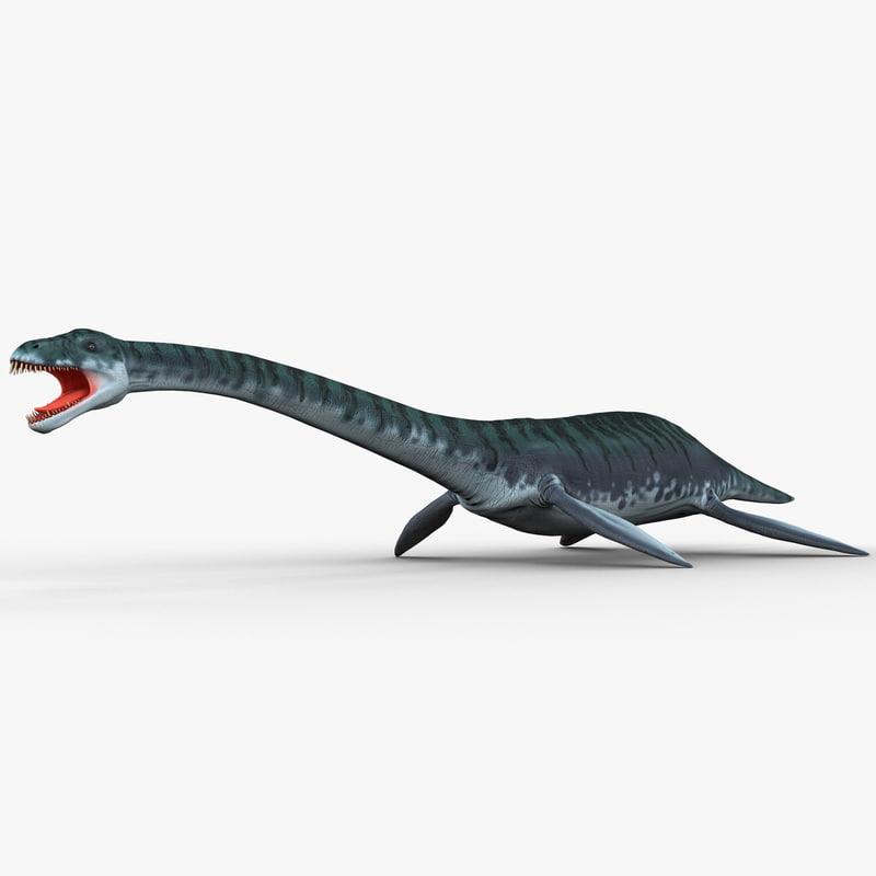 3d plesiosaur prehistoric modeled