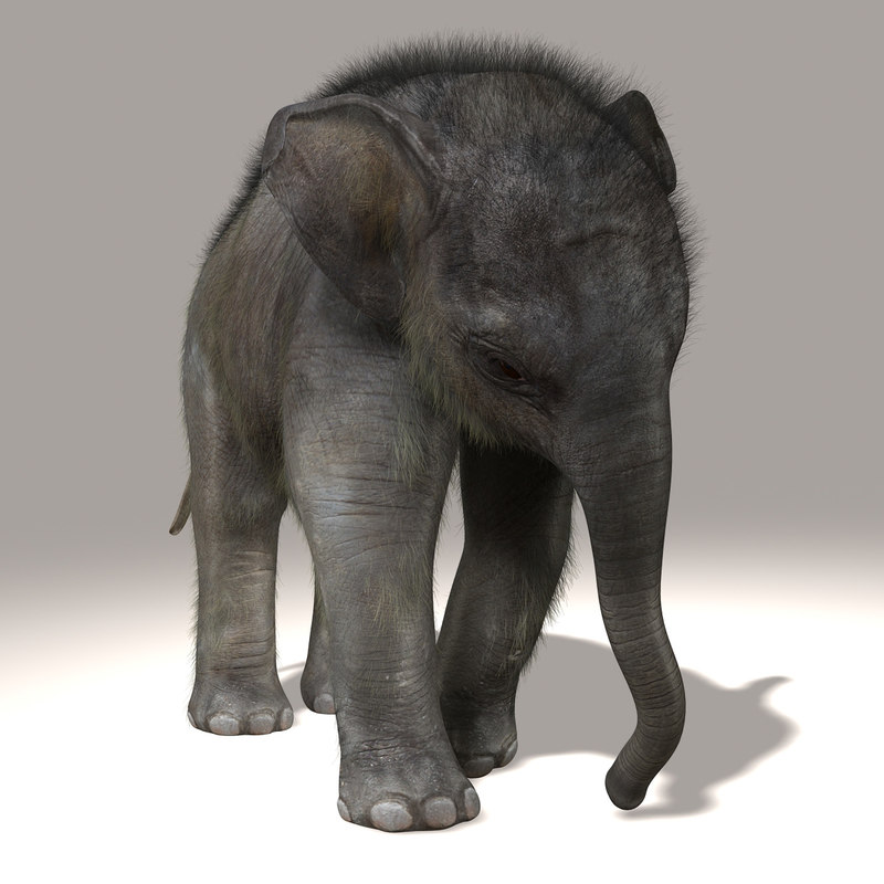 furreal elephant