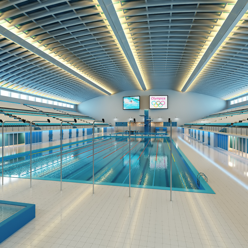 3d olympic sport swimming pool