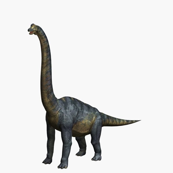 wiki brachiosaurus