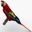 3dsmax scarlet macaw pose 2