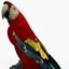 3dsmax scarlet macaw pose 2