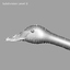 cygnus buccinator trumpeter swan obj