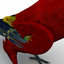 scarlet macaw pose 1 3d obj