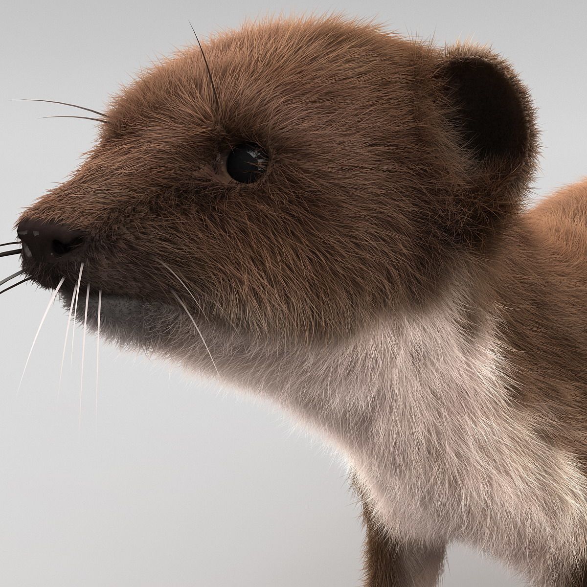 3d model weasel rigged fur