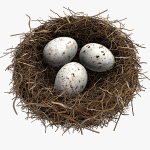 bird´s-nest modeled egg c4d
