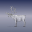 reindeer deer real 3d model