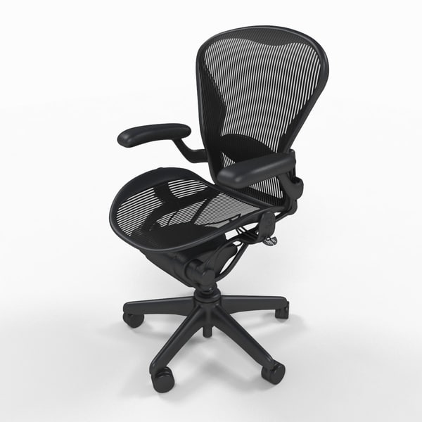 aeron max