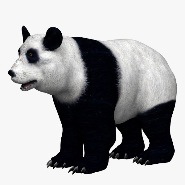 熊猫3d模型 Turbosquid