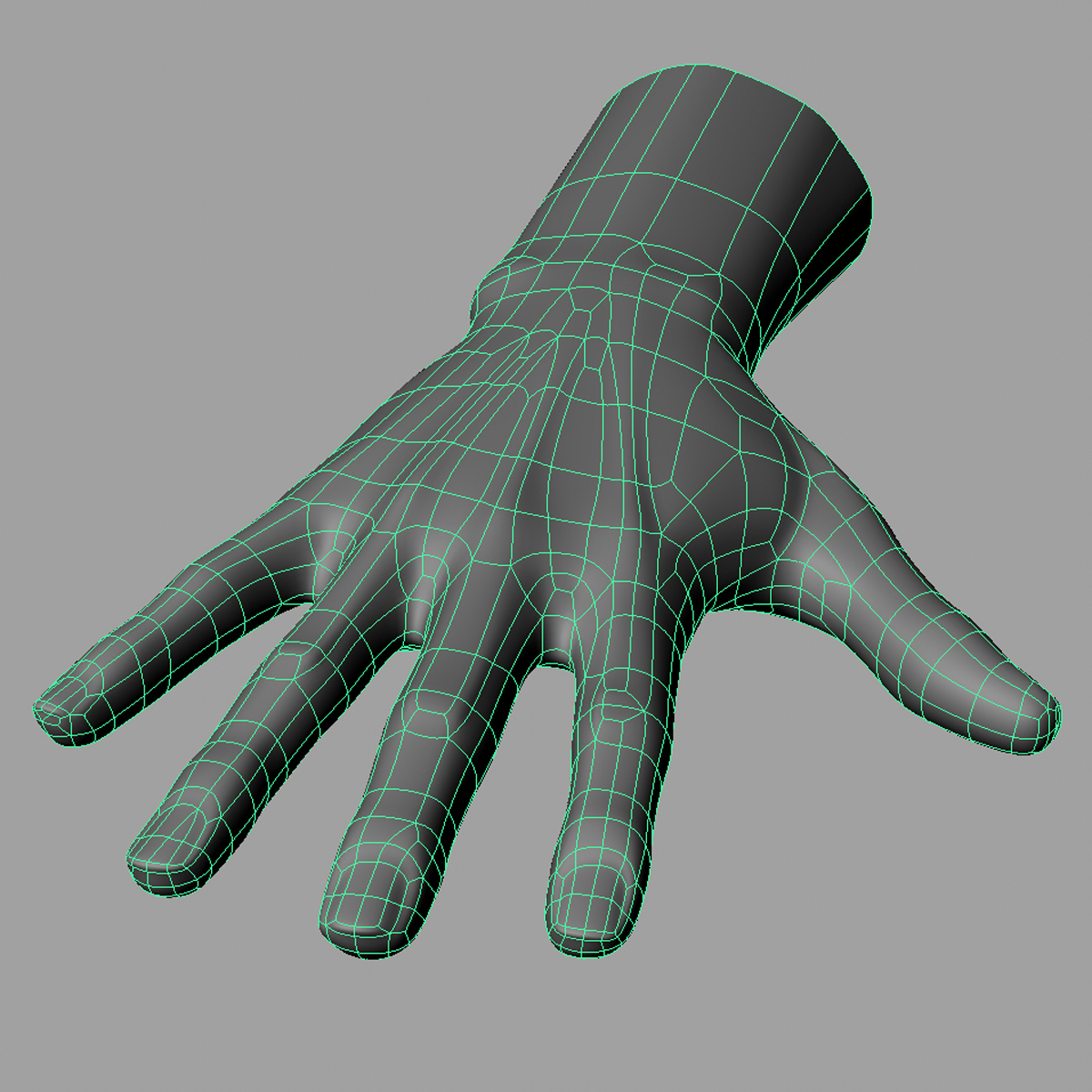 hand quad highres 3d model
